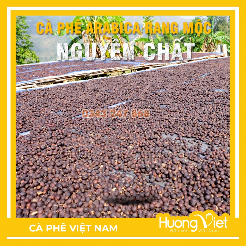 Cà phê rang mộc nguyên chất Đà Lạt, không bơ, thích hợp pha máy, pha phin, cà phê Việt Nam HP 250gr | BigBuy360 - bigbuy360.vn