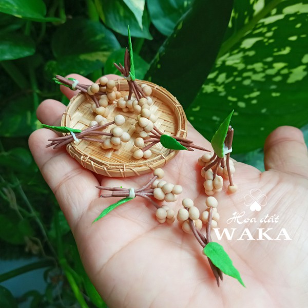 Mô hình Chùm Nhãn Mini- Rau Củ Quả Mini 1/12