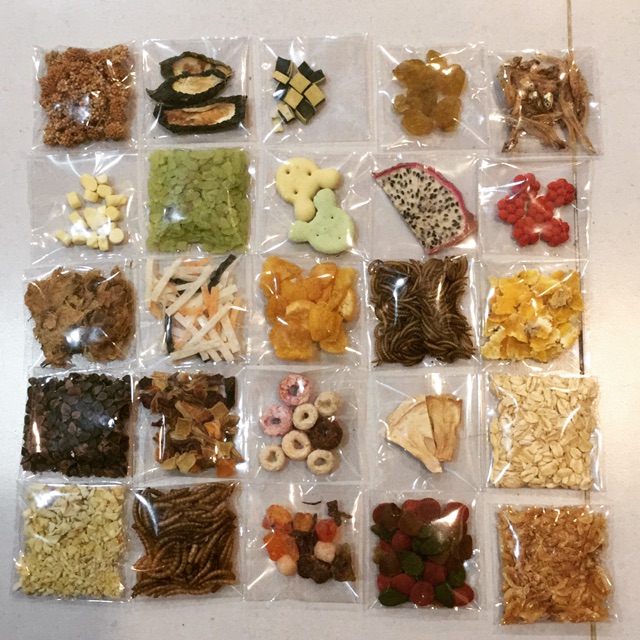 25 món ăn dặm 𝐍𝐆𝐀̂̃𝐔 𝐍𝐇𝐈𝐄̂𝐍 cho hamster