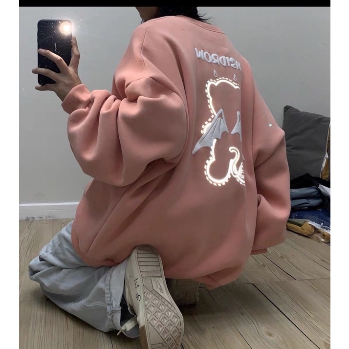 Áo Swt gấu cánh msi phản quang TT6