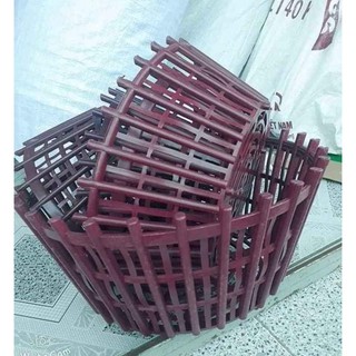Chậu trồng lan phi 35cm có lan phụ