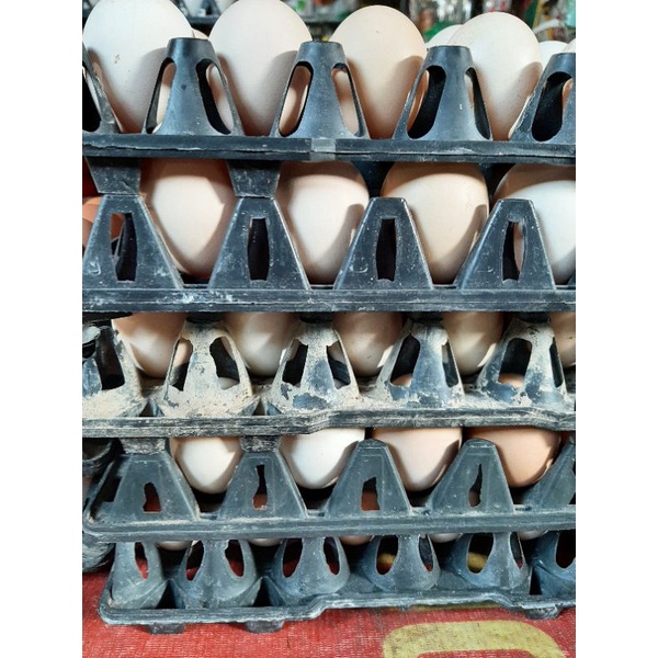 Trứng gà ta truyền thống