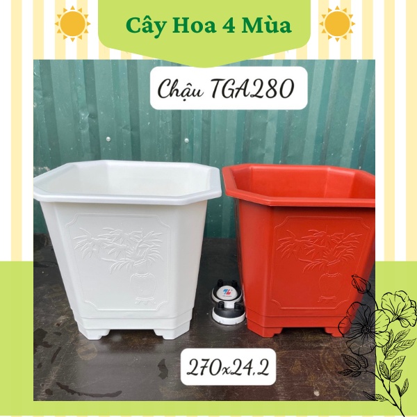 5 Chậu nhựa vuông trồng cây hoa TGA280 kích thước miệng 27cm cao 25cm COMBO 5 CHẬU