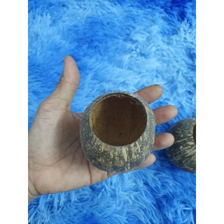 Cóng dừa  đựng lúa , kê , khoáng vvv