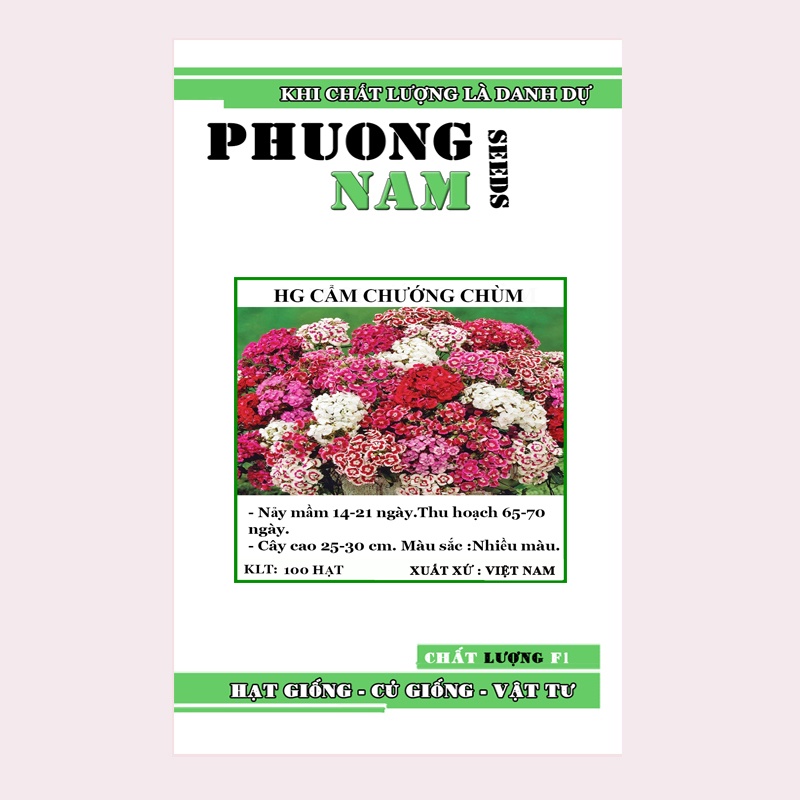 100H - HẠT GIỐNG HOA CẨM CHƯỚNG MIX