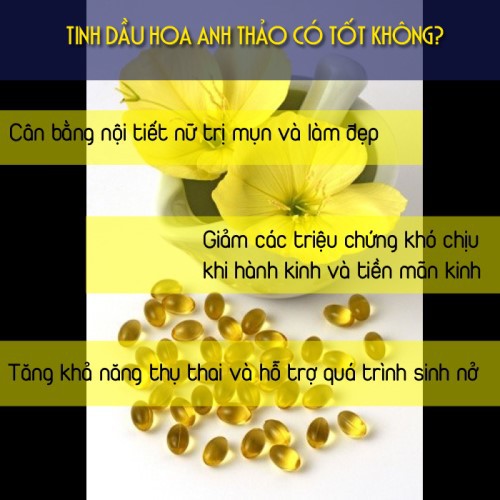 Viên Uống Tinh Dầu Hoa Anh Thảo Hàn Quốc Hanmi Gamma Hỗ Trợ Nội Tiết Tố Làm Da Mịn Màng Là Phụ Nữ Không Thể Không Uống | BigBuy360 - bigbuy360.vn
