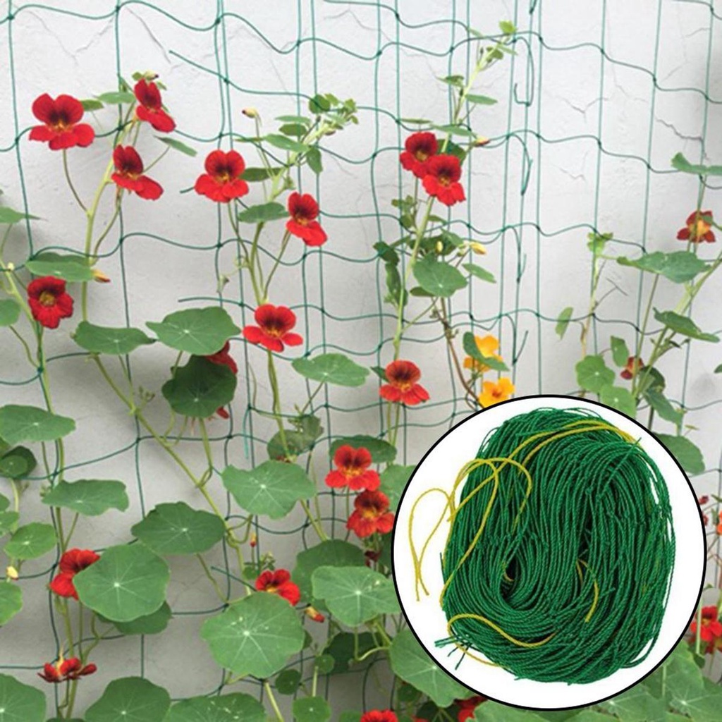 Lưới Trồng Cây Dây Leo 4 Kích Cỡ Bằng Nylon