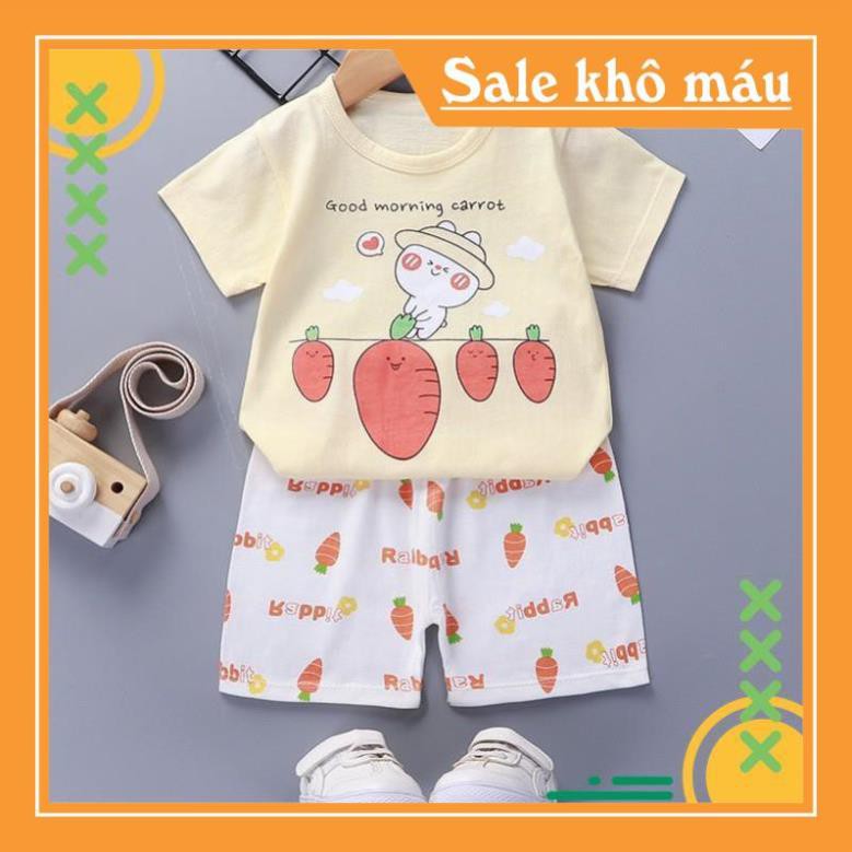 HÀNG CÓ SẴN 2 Bộ quần áo trẻ em, cộc tay, áo thun cotton mùa hè, nhiều hình đẹp cho các bé