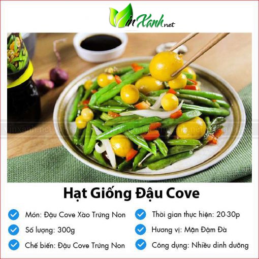 Hạt giống đậu cove - NGUYÊN GÓI hàng công ty tuyển chọn kháng bệnh sống khỏe