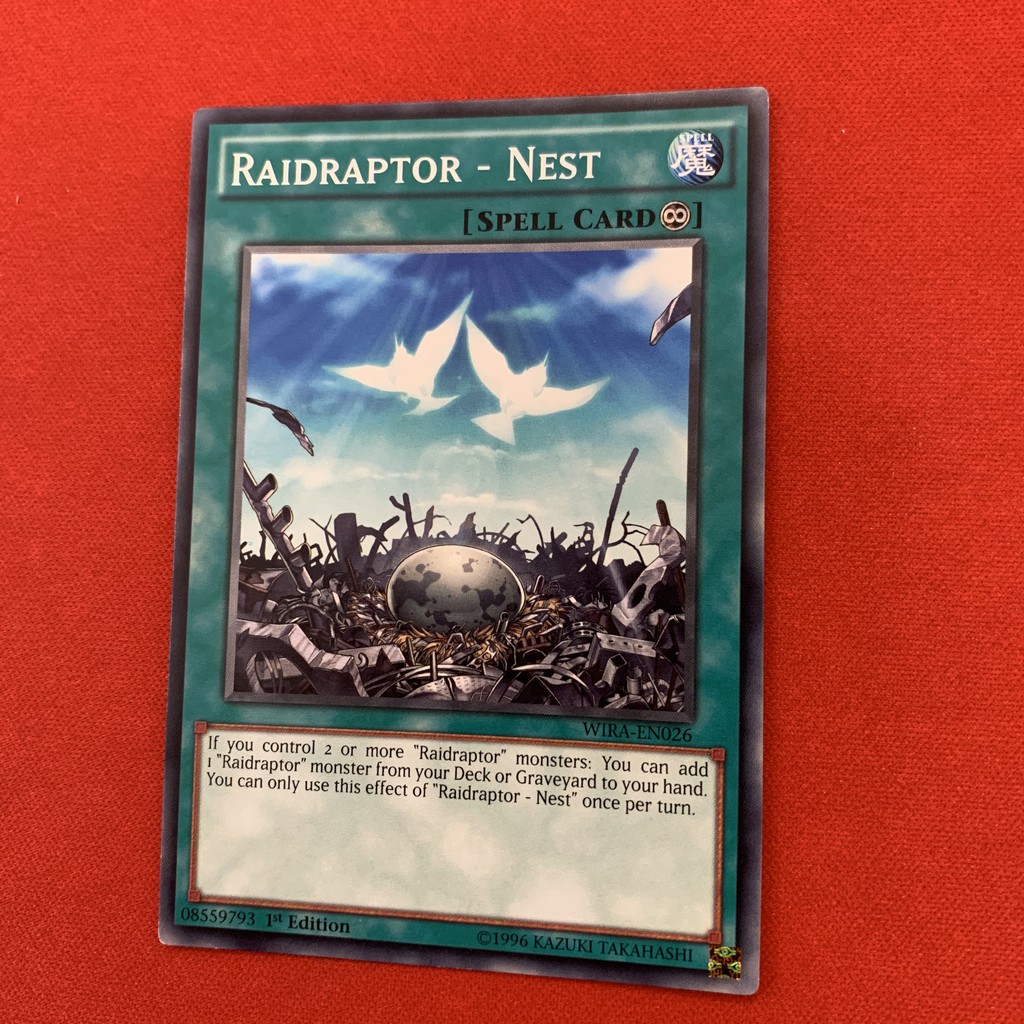 Raidraptor - Nest