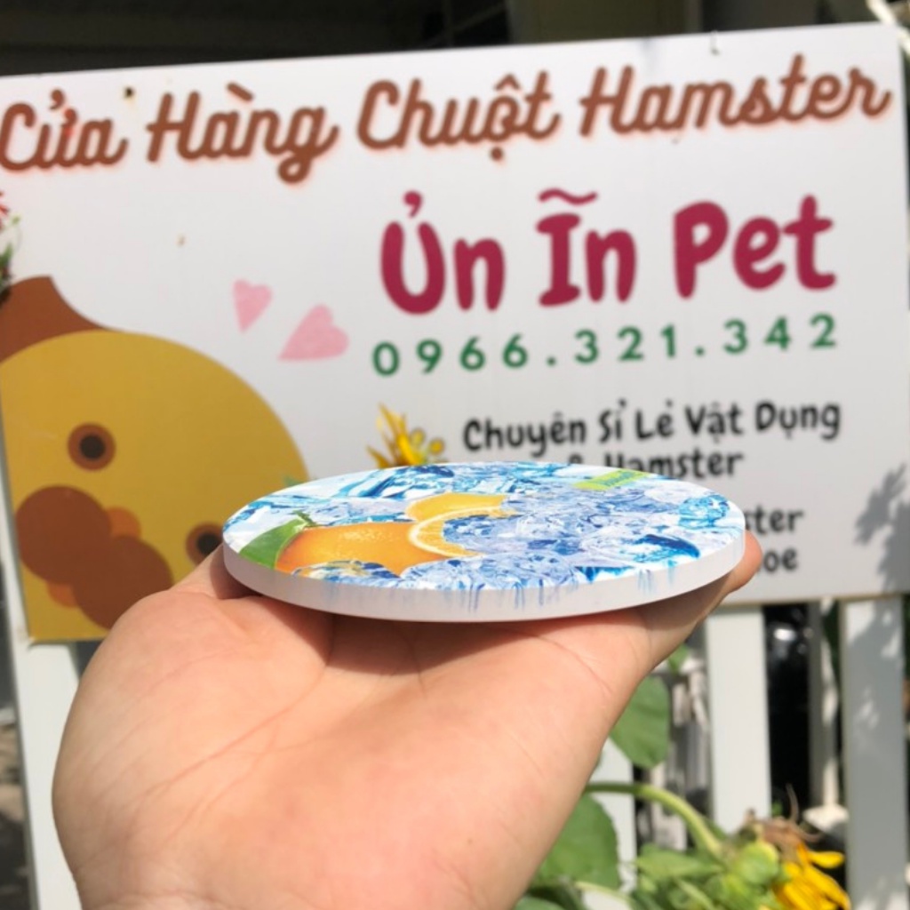 Tấm sứ tản nhiệt cho hamster, sóc, bọ, nhím, thú nhỏ