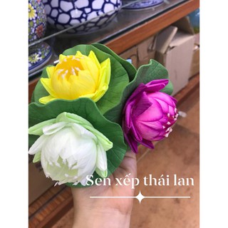 Hoa Sen ,  hoa sứ, thả nước đủ loại