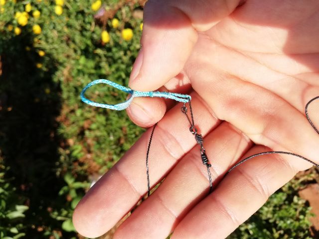 Xích chân chim chào mào / than / lửa ..vv