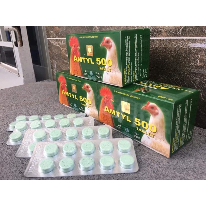 AMTYL 500 thuốc trị tang, khò khè, sổ mũi dành cho gà đá.