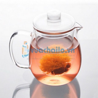 Bình pha trà thuỷ tinh lõi lọc 700ml