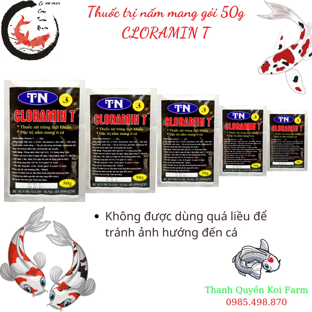 CLORAMIN T - Thuốc chữa nấm mang các loại cá Koi, cá cảnh