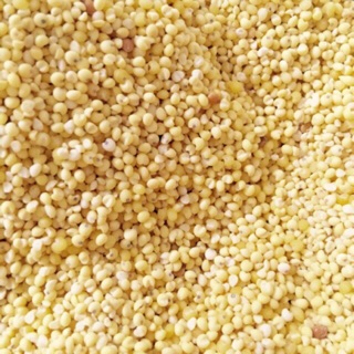 1Kg Hạt Kê Nếp Vàng (Đã Tách Vỏ) cho bé ăn dặm, làm sữa hạt