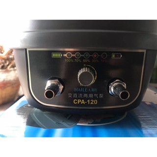SỦI OXY TÍCH ĐIỆN HAILEA CP60, CP120