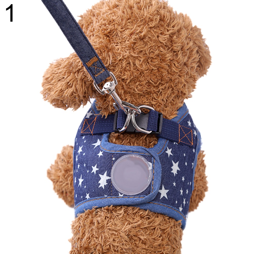 Vòng Cổ Và Dây Dắt Thú Cưng Đi Dạo Đáng Yêu