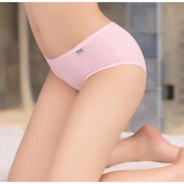 Quần Lót Cotton Pulo Size Dưới 60kg (SP000005) | BigBuy360 - bigbuy360.vn