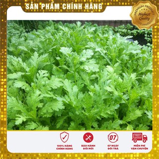 Hạt Giống Rau Cải Cúc Tẻ (20gr)