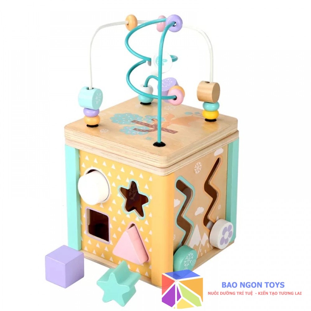 KHỐI HOẠT ĐỘNG THẢ HÌNH 5 IN 1 GIÚP BÉ HỌC MÀU SẮC, HÌNH DẠNG VÀ PHÁT TRIỂN VẬN ĐỘNG TINH - BAO NGON TOYS - DG113