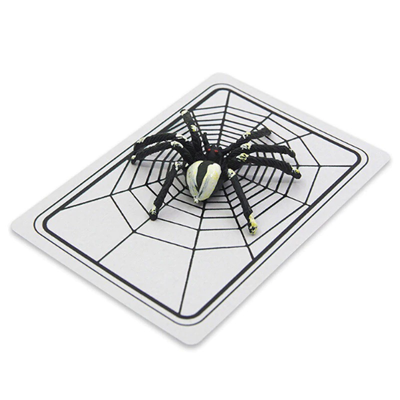 Combo 4 lá bài trắng biến thành 4 lá bài hình tơ nhện, Nhện giăng tơ trên bài cực hay - Ảo thuật lá bài biến ra nhện