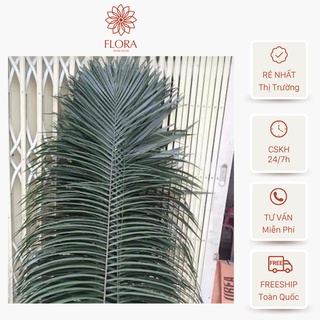 Lá mây cắm hoa trang trí decor chụp hình FLORA DECOR store
