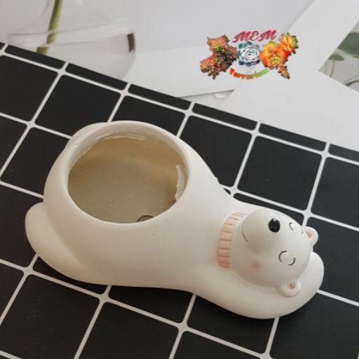 Chậu gấu bắc cực |FREESHIP  SIÊU XINH | LỖI 1 ĐỔI 1