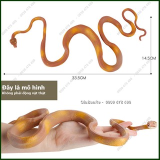 Mô Hình Rắn Trăn Boa - 7669.9