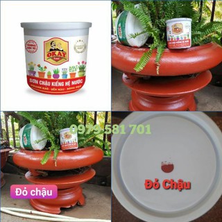 Sơn Chậu Kiểng Màu Đỏ Chậu Hệ Nước Lon 1kg & Tặng Cọ