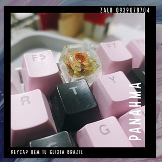 Keycap OEM 1u Resin hoa Glixia Brazil - Nút keycap bàn phím cơ Resin trong hình hoa Glixia Brazil