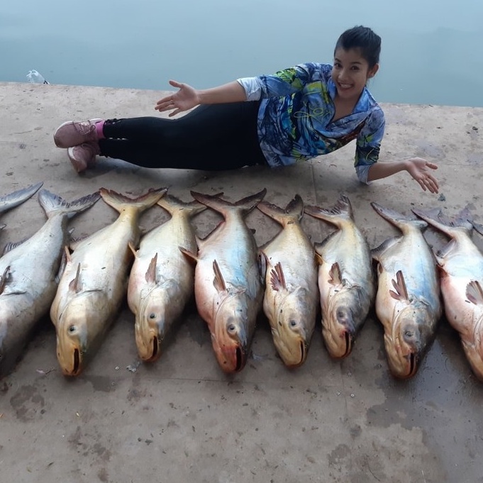 MỒI CÂU CÁ TRA MAYME 150ML, Chuyên dùng pha chế Cám Câu Cá Tra, Cháo Câu Cá Tra, Bún Câu Cá Tra