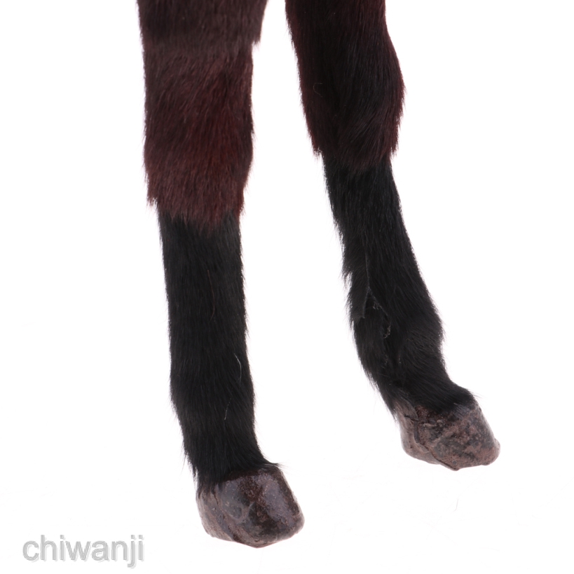 Mô Hình Ngựa Trang Trí Tỉ Lệ 1: 6