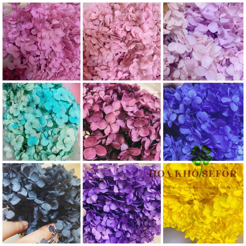 Hoa Cẩm Tú Cầu ❤Hoa Khô ❤ Nguyên Liệu Làm Handmade đổ resin