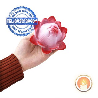 Đèn hoa sen đổi màu [KÈM SẴN PIN]