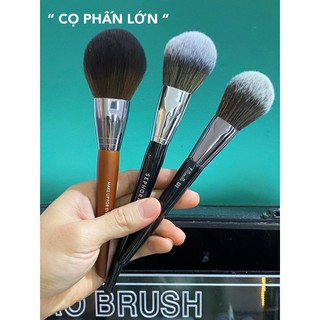 CỌ PHẤN PHỦ LỚN