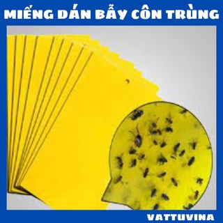 Miếng dán bẫy côn trùng màu vàng 25x20cm - vật tư vina