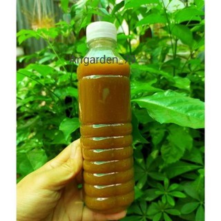 Phân đỗ tương + GE chuối + GE nha đam - nhà tự ủ 350ml