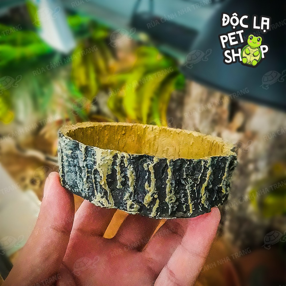 CHÉN NƯỚC CHO RÙA, MÁNG ĂN CHO RÙA THÚ CƯNG NHỎ, DECOR CHUỒNG NUÔI