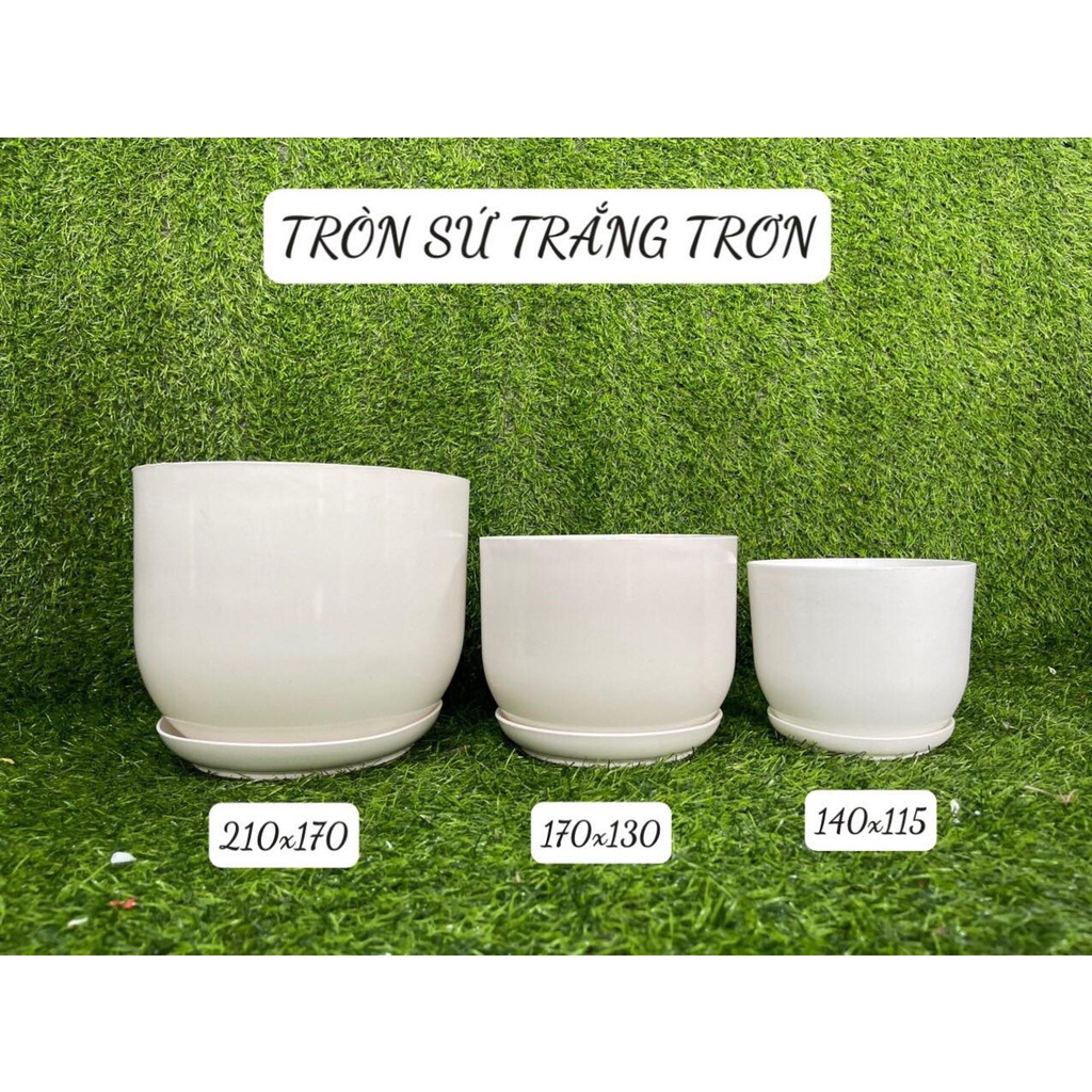 Chậu nhựa tròn giả sứ kèm đĩa trồng cây cảnh mini, sen đá, sương rồng kèm hàng dày đẹp (Tròn sứ trơn)
