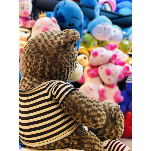 Gấu Bông  Teddy Giá Rẻ Cao Cấp Dễ Thương Khổng Lồ