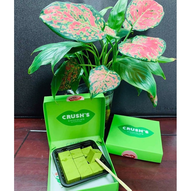 Socola Tươi Nama - Crush vị trà xanh - Hộp nhỏ - Only Nowship Hà Nội - Nhận sỉ toàn quốc