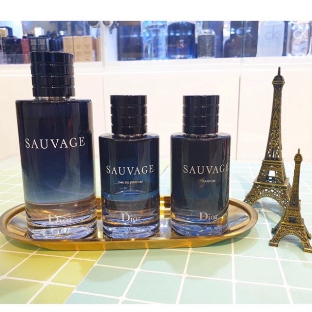 Nước Hoa Nam Christian Dior Sauvage EDP 100ml [Hàng Hiệu]