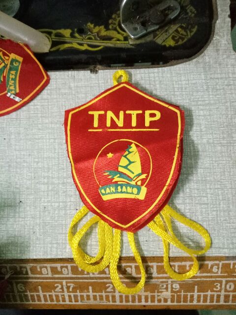 Huy hiệu măng non cài áo