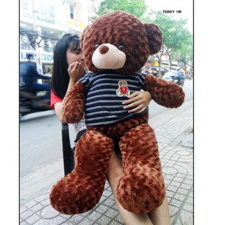 Gấu Teddy cao 1m