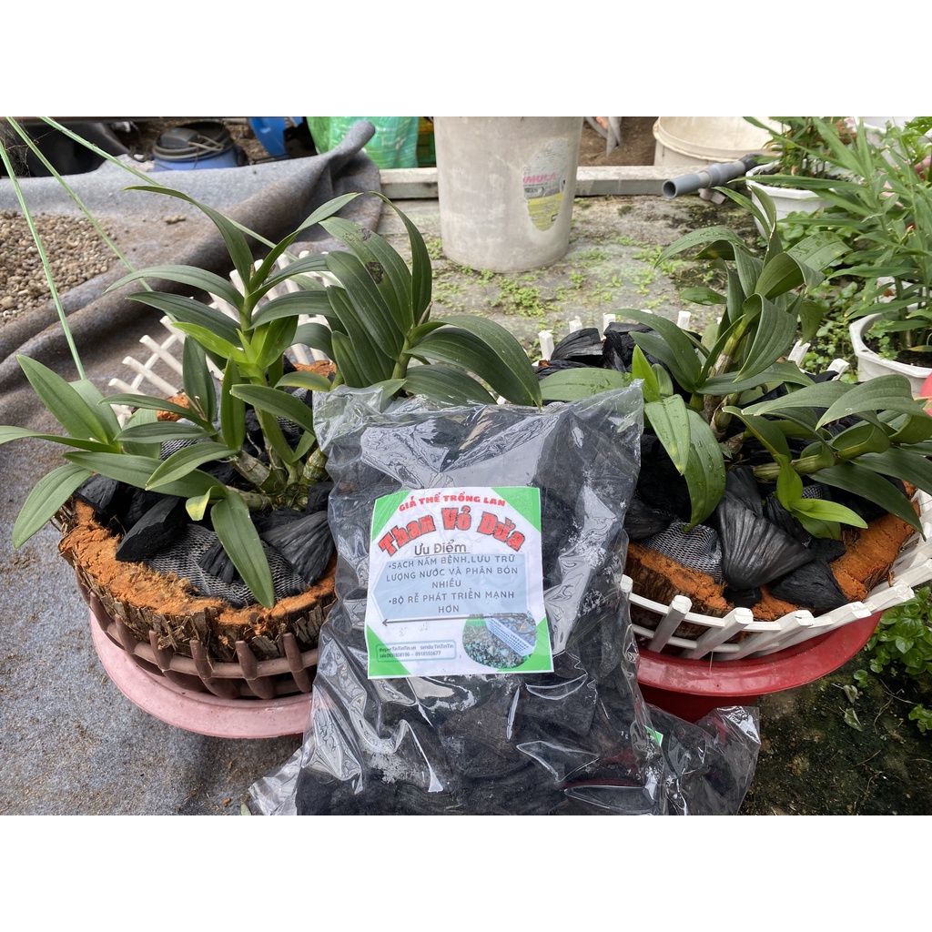 giá thể trồng lan( than vỏ dừa)