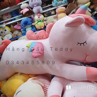 Ngựa pony thiên thần
