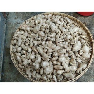 NƯỚC RỬA TAY THẢO DƯỢC 500ml