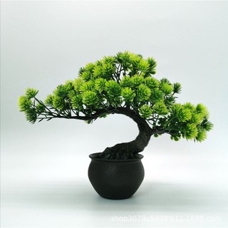 Cây cảnh trang trí nhựa bonsai